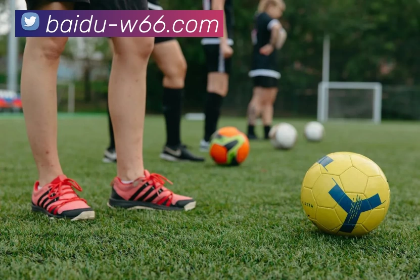 利来国际平台生态图