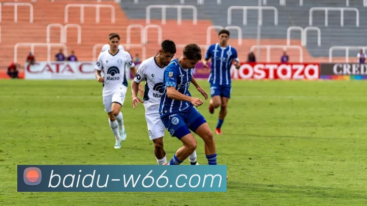 利来国际APP 封面图